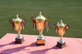 西安霸陵公墓官网荣誉资质二