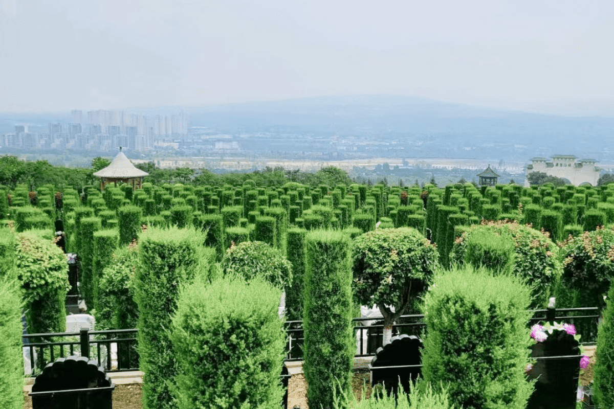 西安霸陵公墓官网墓区环境图