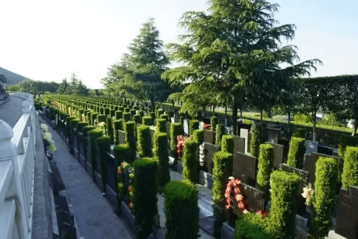 西安霸陵公墓官网墓区环境图